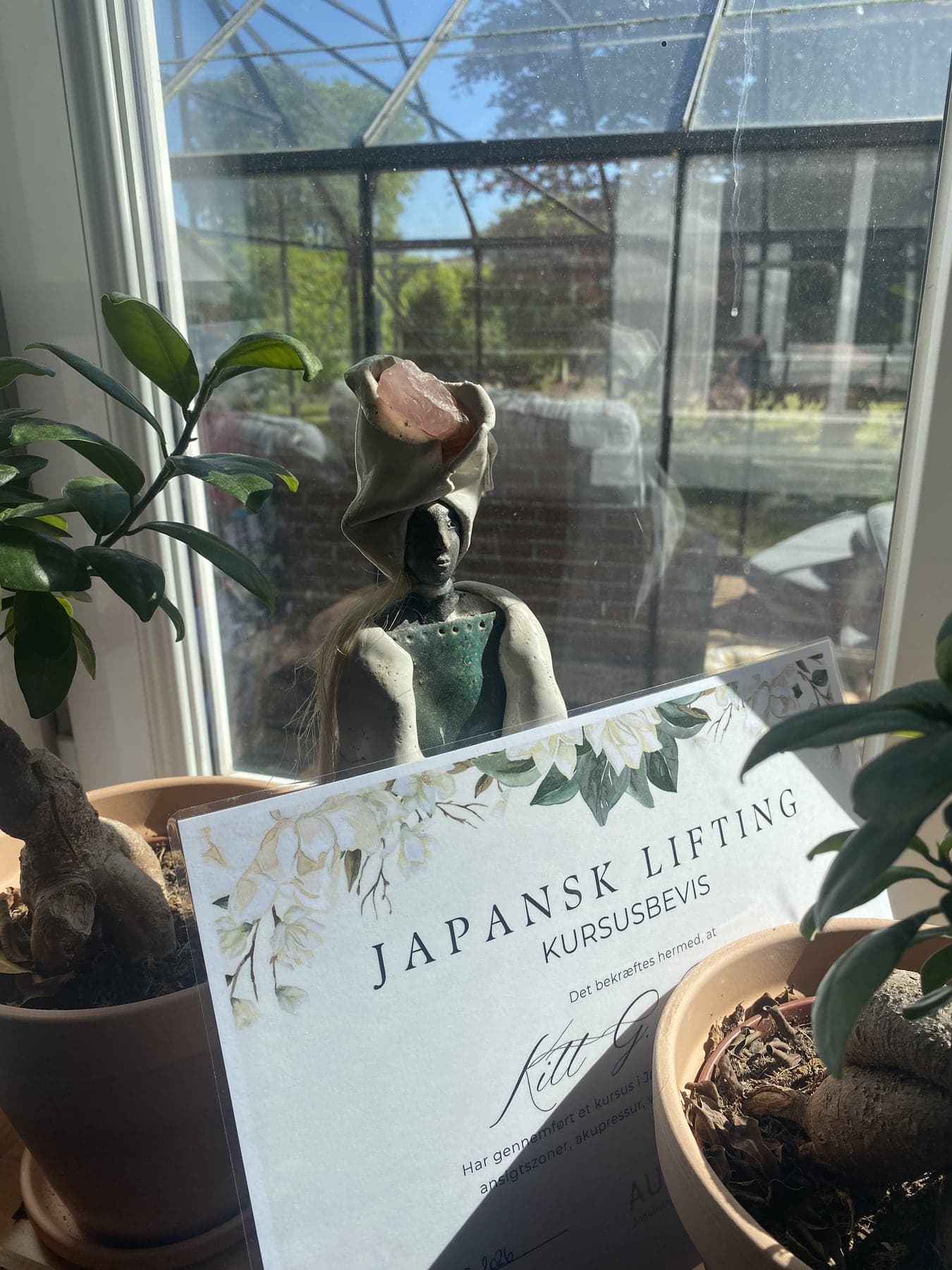 Kursusbevis i japansk lifting ved en grøn plante